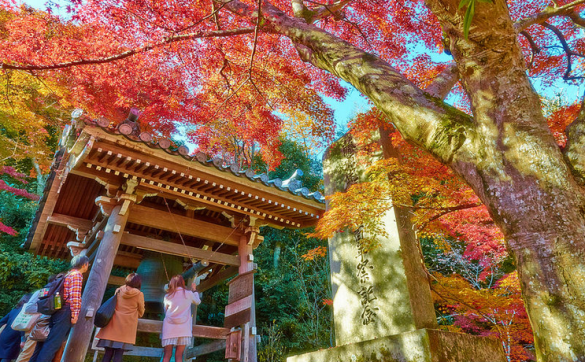 kyoto1
