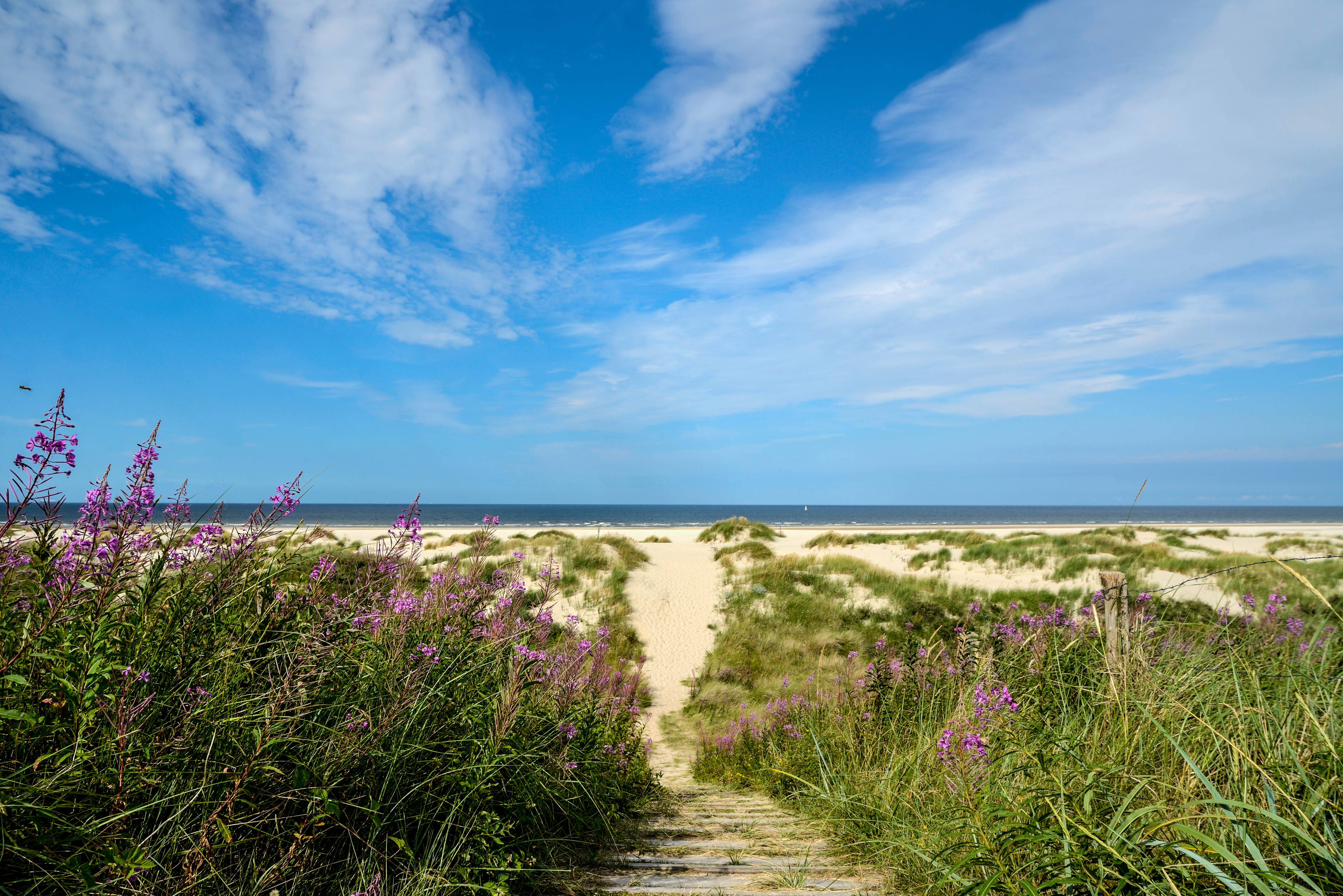 view-of-wangerooge-beach-istock_32868944_xlarge-2