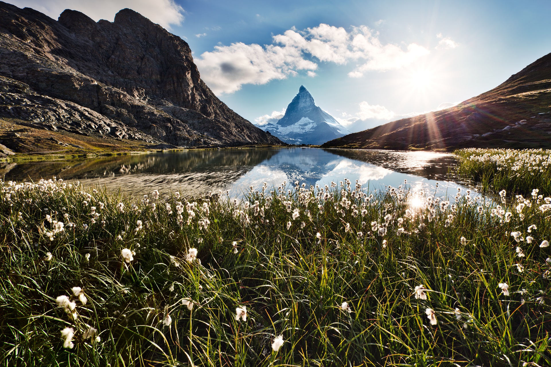 Der Riffelsee bei Sonnenschein. Im Vordergrund wachsen weiße Blumen. Rechts und links erheben sich Hügel und im Hintergrund ragt das Matterhorn spitz in den Himmel.