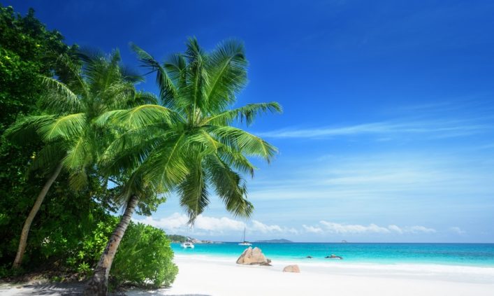 Türkisfarbenes Meer trifft auf weißen Sandstrand, überragt von grünen Palmen links, unter blauem Himmel.
