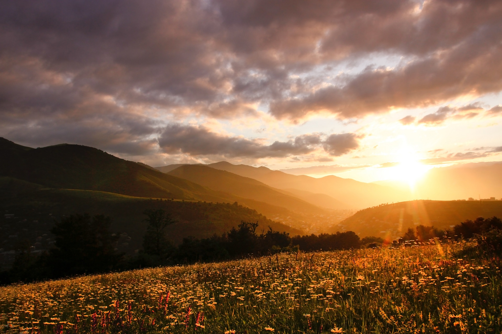 Armeniens hügelige Landschaft, gespickt mit Blumenwiesen, bei Sonnenuntergang.