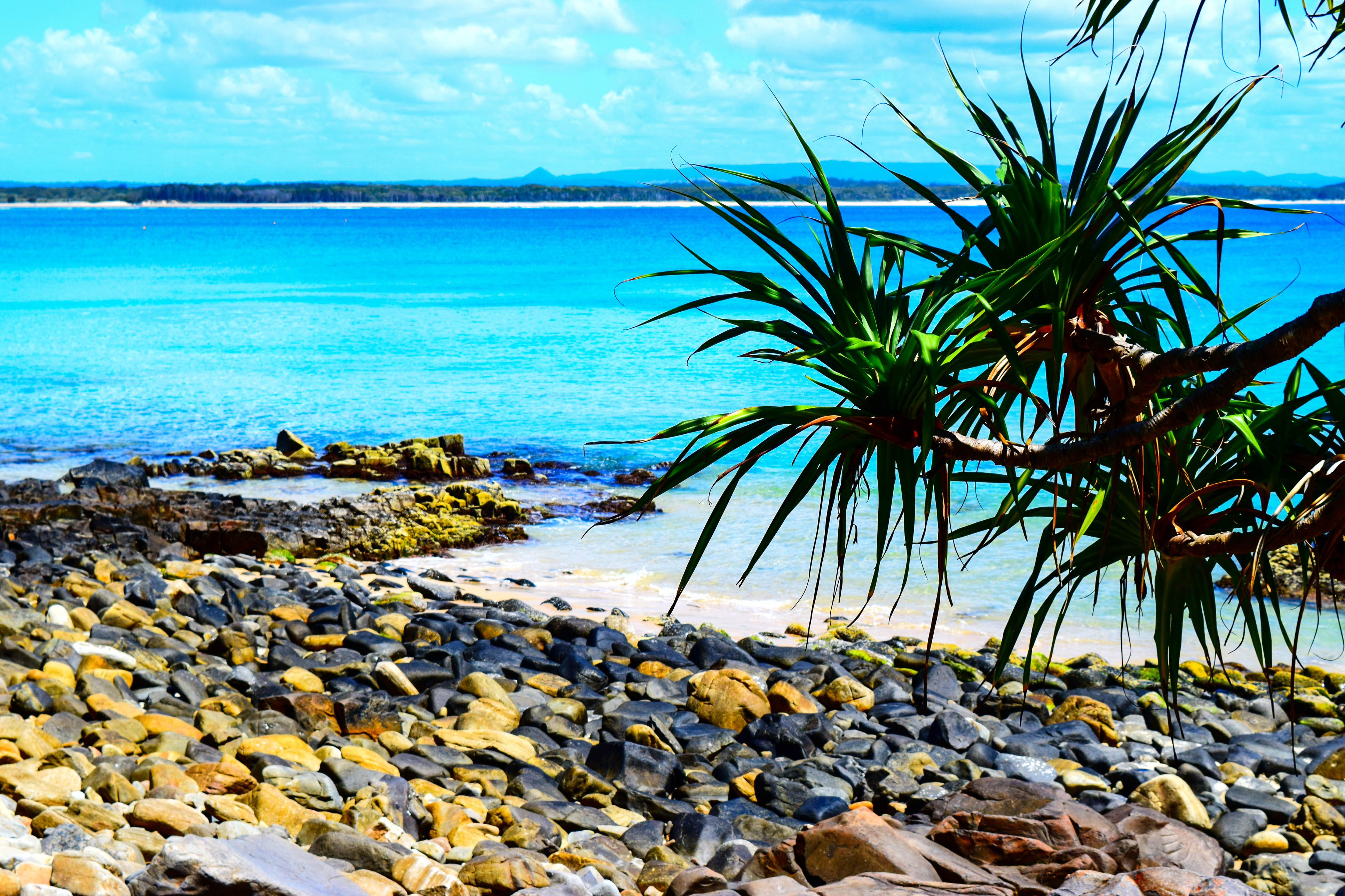 Noosa Beach in Australien