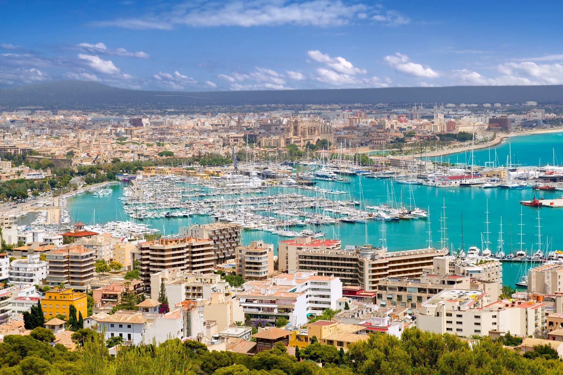Blick von oben auf Palma de Mallorca.