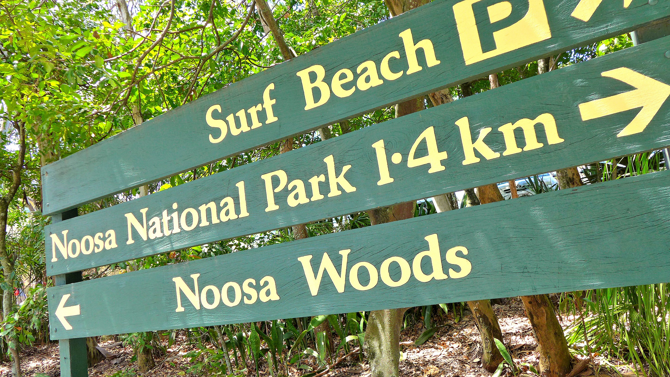 Schilder am Strand von Noosa