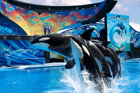 seaworld-one-ocean