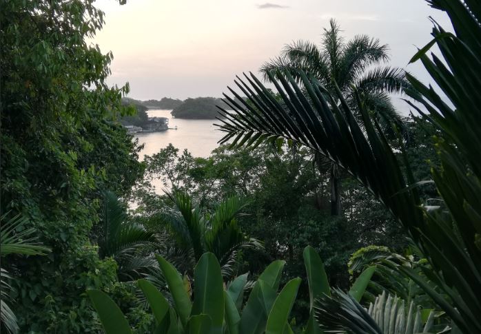 kanopi01