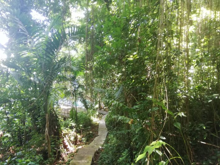 kanopi02