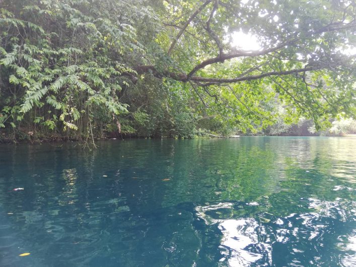 kanopi05
