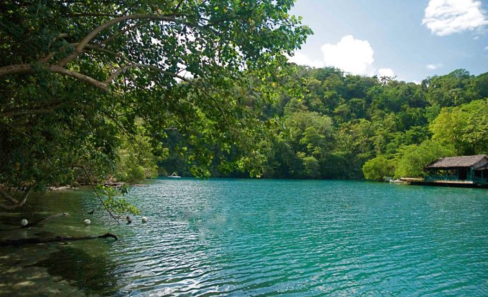 kanopi07