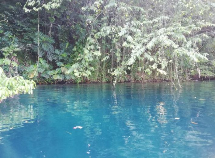 kanopi3