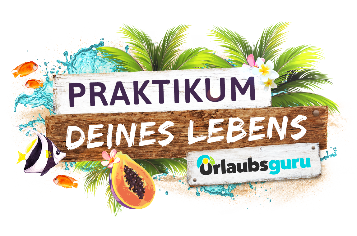 Störer PDL Neu