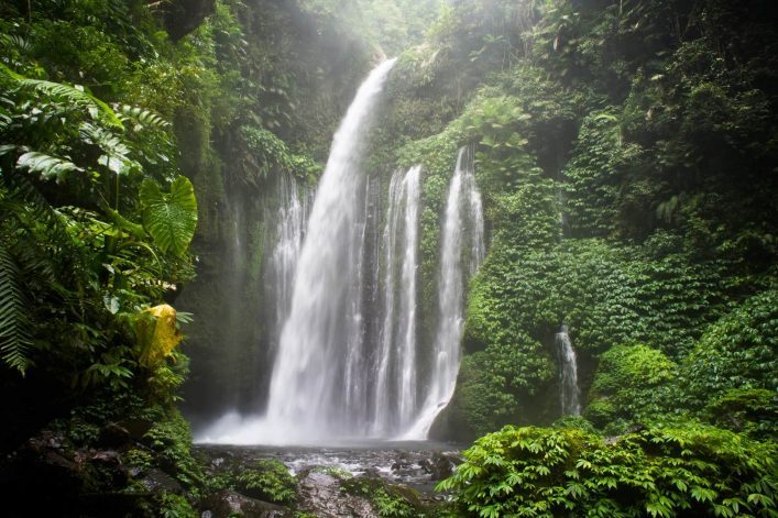 Wasserfall inmitten grüner Vegetation, strömt von Felsen in einen Pool. Dichtes Blattwerk umgibt die Szene, während das Wasser im Zentrum herabfließt. Sanfter Nebel schwebt darüber.