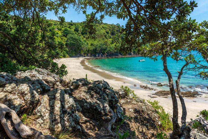 Strand auf Waiheke Island mit türkisfarbenem Wasser, umgeben von üppigen grünen Bäumen und Felsen im Vordergrund. Im Hintergrund erhebt sich ein grüner Hügel, ein kleines Boot im Wasser zu sehen.