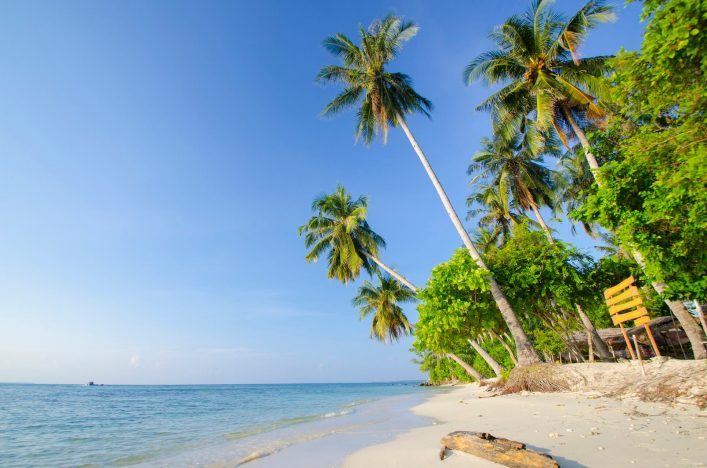 Einsamer Strand mit weißem Sand, links das blaue Meer, rechts hoch aufragende Palmen und üppiges Grün. Ein Holzstück liegt im Vordergrund, im Hintergrund ein kleiner Wegweiser.