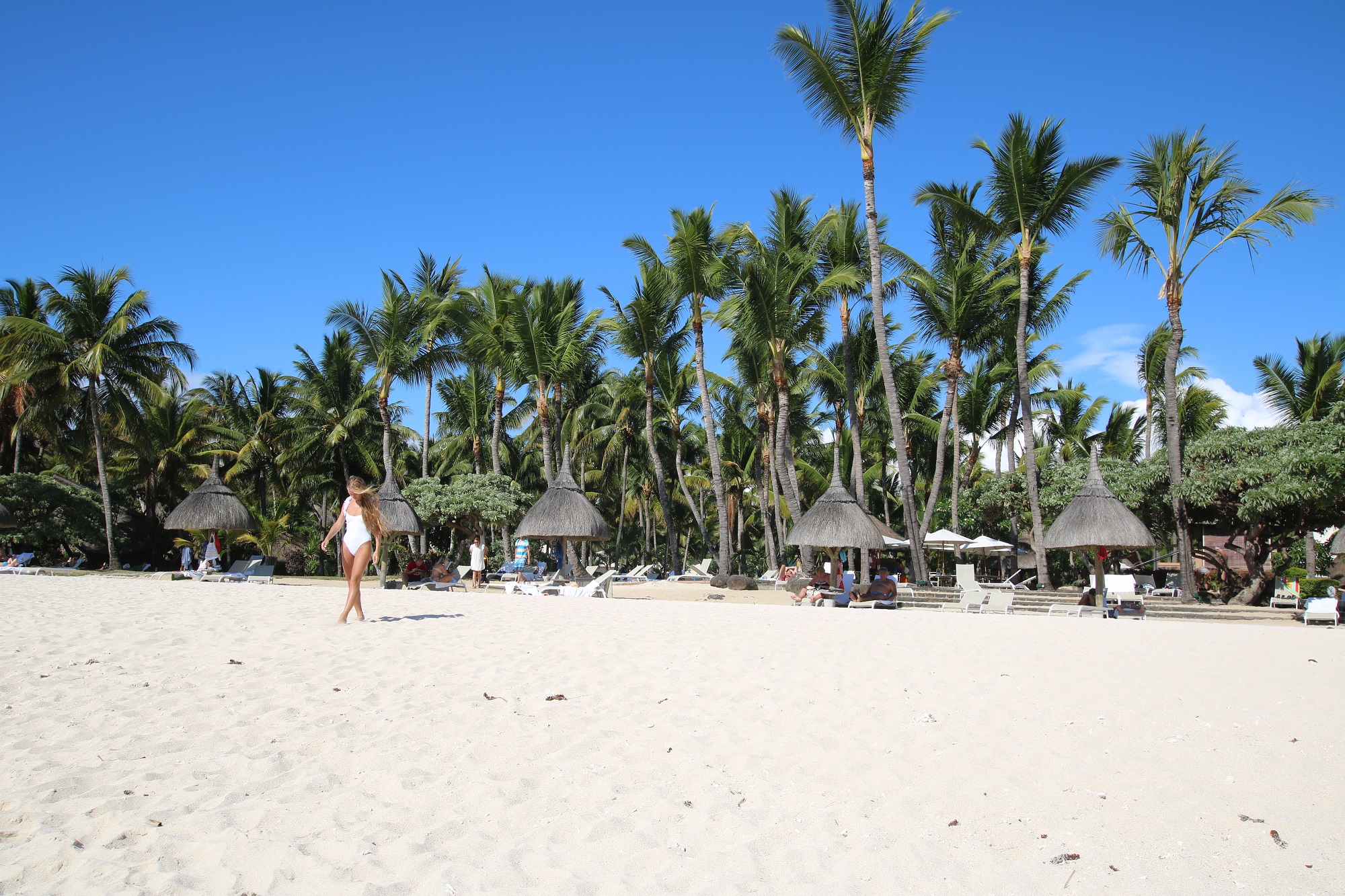 Weißer Sandstrand mit Strohschirmen und hoch gewachsenen Palmen im Hintergrund. 