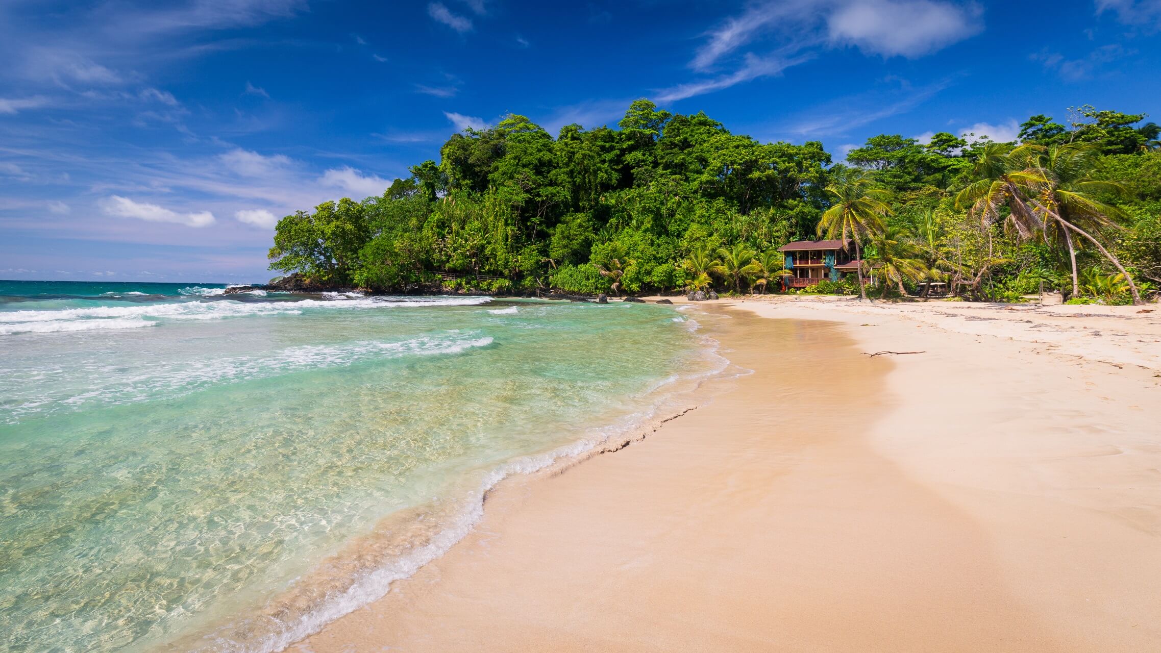Tropischer Strand mit goldenem Sand und türkisem Wasser. Palmen im Hintergrund.