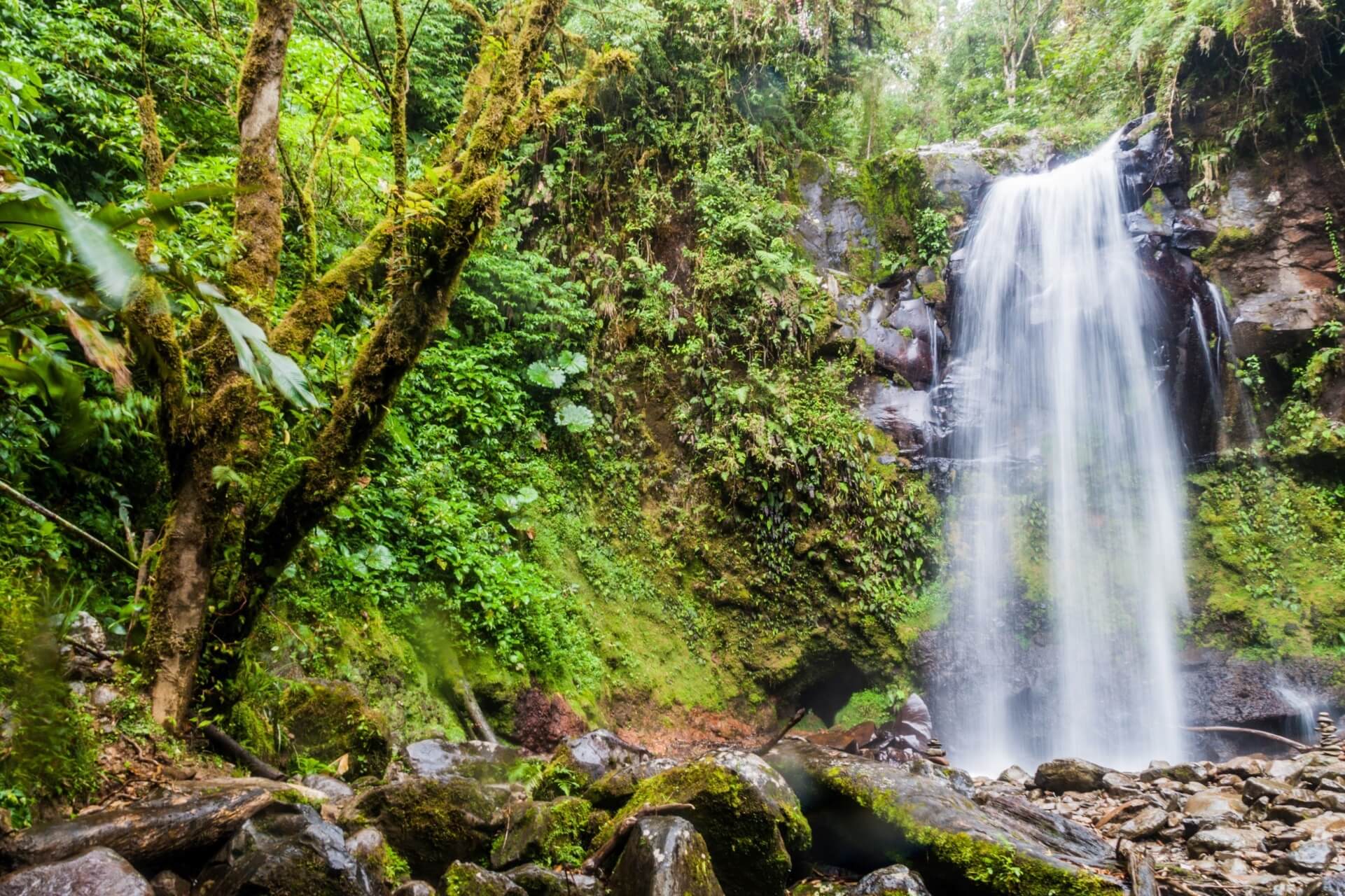Tropischer Wasserfall im Dschungel.