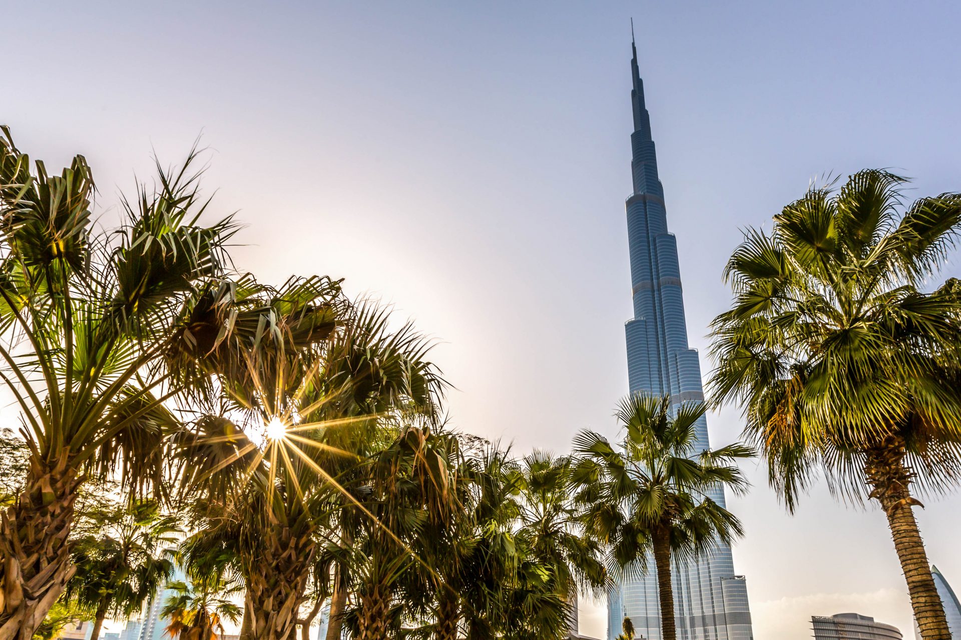 Burj Khalifa ragt zwischen Palmen hervor.