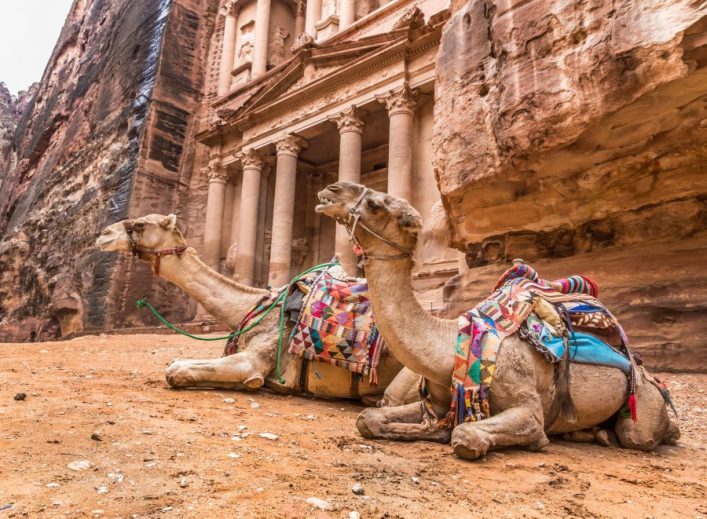 Schlafkamele_Schatzamtes_Al-Khazneh_Felsen-von-Petra_shutterstock_394081141
