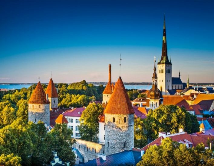 Mittelalterliches Stadtbild von Tallinn mit roten Dächern, hohen Türmen und einer weißen Kirche mit Spitzdach. Umgeben von Bäumen, leuchtet es unter klarem, blauem Himmel am Horizont.