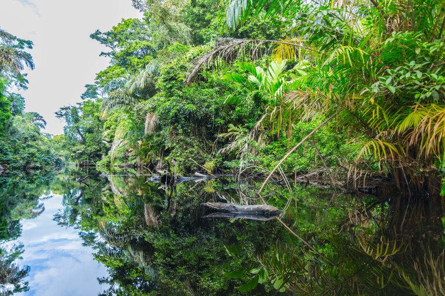 Tortuguero-national-park-background_shutterstock_1143305789_900x600