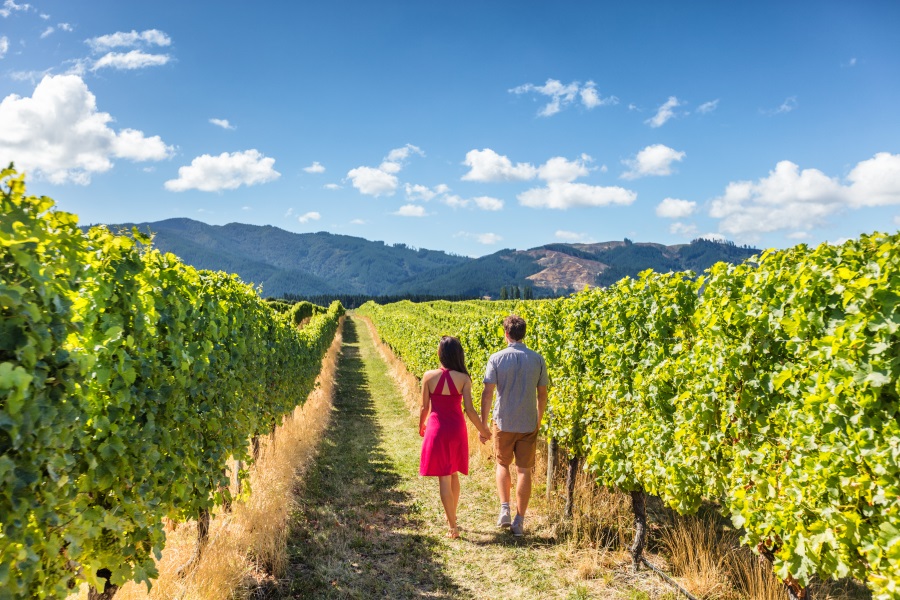 Paar händchenhaltend, Rückansicht, läuft zwischen grünen Weinrebenreihen, sonniger Himmel, Berge im Hintergrund. Mann trägt Shorts und Shirt, Frau rotes Kleid.