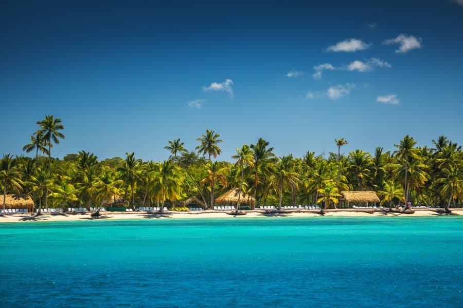 domrep_palmenstrand_iStock_517710568
