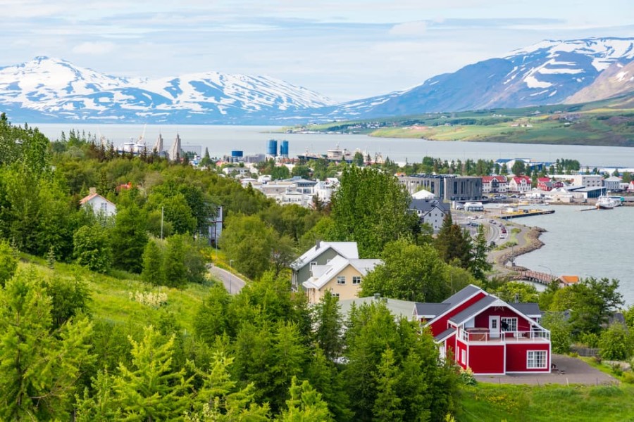 Foto einer Stadt in Island. Es gibt viel Grün und ein paar Häuser. Die Stadt liegt direkt am Wasser. Im Hintergrund sind Wasser und schneebedeckte Berge zu sehen.