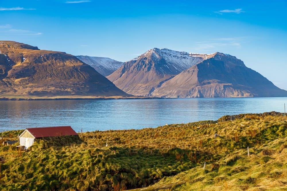 Foto von Bergen in Island, Im Vordergrund ist ein Feld mit einer kleinen Scheune zu sehen. Dann kommt ein Fjord. Darüber liegen die imposanten Berge, auf deren Kamm Schnee liegt.